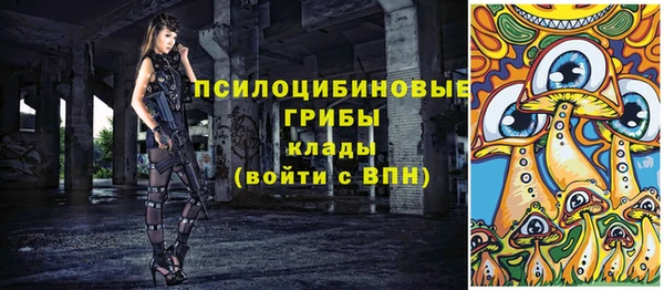 ПСИЛОЦИБИНОВЫЕ ГРИБЫ Алзамай
