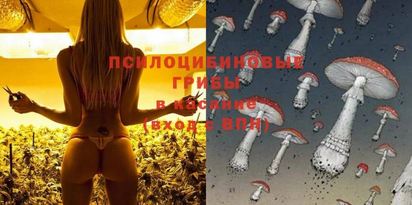 apvp Абдулино