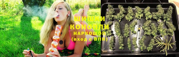 гидропоника Алексин